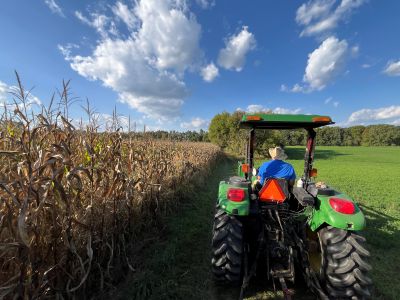 hayride photo